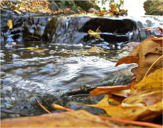 打爆别人电话的软件